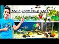 Adding Live & Artificial Plants to Monster Fish Aquarium | Natural Look & Water Detox Benefits