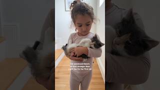 My daughter adopted her first cat when she was 3yo and since then they are best friends #cat