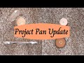 Project Pan Update // May 2021