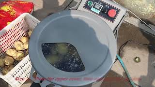 TSTP series peeler machine
