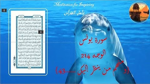 سورة يونس، الوجه214 {ومنهم من ينظر إليك ....43}، متشابهات السورة مع السور السابقة و منفرداتها