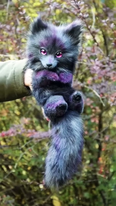 Яка ти містична тваринка?🔮😊🐈‍⬛💜 - YouTube