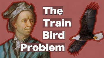 The Train Bird Problem: What