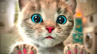 Animated Little Kitten friends Adventure - Preschool and kindergarten learning Cartoon by LITTLE KITTEN FRIENDS 4,140,375 views 1 month ago 25 minutes