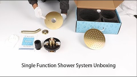 Unboxing Bostingner Single Function Shower System Gold