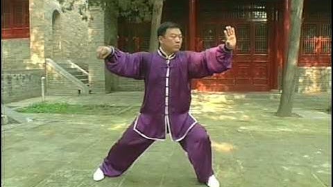 張東武 Zhang Dongwu - 新架一路 Xinjia Yilu (New Frame First Form) 4