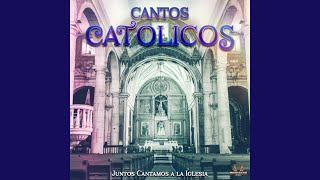 Video thumbnail of "Cantos catolicos - Un Mandamiento Nuevo Nos Da El Señor"