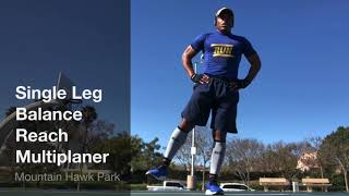 Single Leg Reach Multiplaner