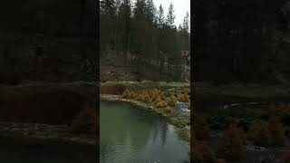 Перший сніг на озері Віта у 2023 (6 січня) #ukraine #lake #vita #shorts #snow #salo #carpathian #ua
