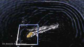 Animation of Open water Phenomena with coupled Shallow Water and Free Surface Simulation