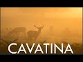 CAVATINA - Electric Guitar Cover (in the style of The Shadows)