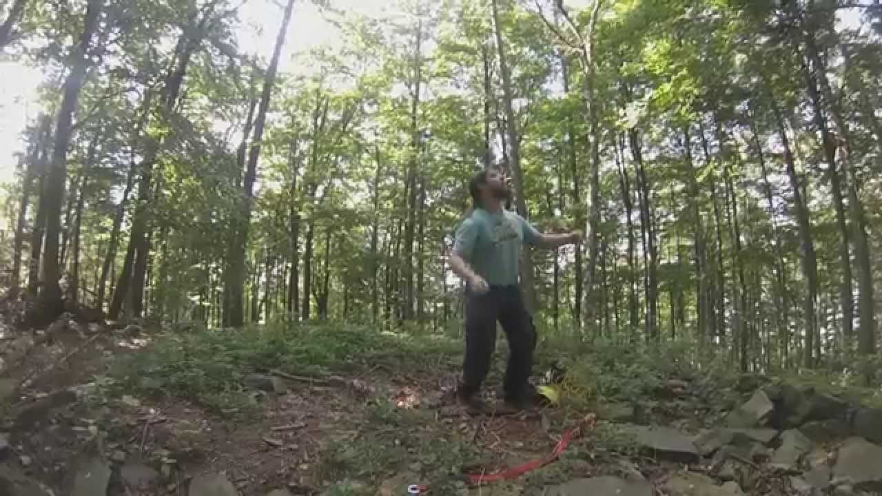 T5er Cache erlegt Ausschnitte