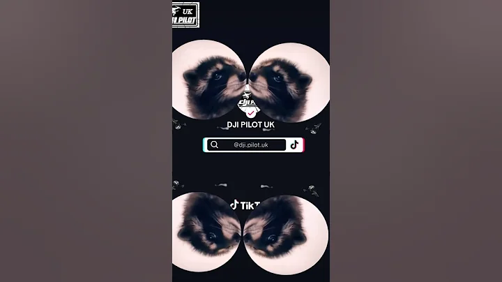 #pedro  Pedro DJI DRONE AVATA 2 #music #musica #dj