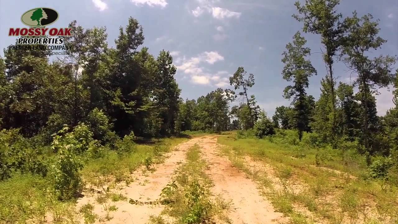 80 Acres, Land for Sale, Tippah County, Mississippi YouTube