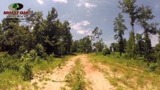 80 Acres, Land for Sale, Tippah County, Mississippi
