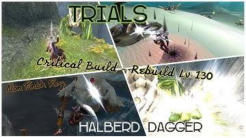 Toram Online - Halberd Dagger Trials Level Cap 130 Critical Build (Non Punish Ray)