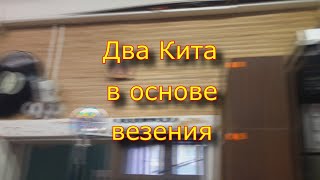 Два Кита В Основе Везения