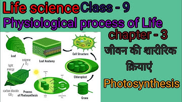 WB ক্লাস 9 জীবন বিজ্ঞান Ch 3 -জীবনের শারীরবৃত্তীয় প্রক্রিয়া , জীবনের শারীরিক ক্রিয়াকলাপ পার্ট 1