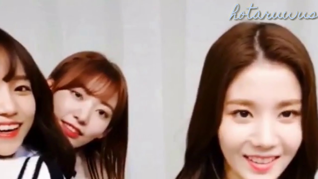 THE REASON WHY I LOVE CHAEKURA | 1