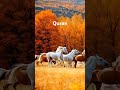 Quran translate in urdu #quran #madina #urdu #shorts #ytshorts