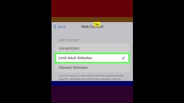 How to Block a Website in all Web Browsers on iPhone