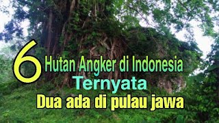 Misteri hutan paling angker di Indonesia | Hutan larangan |