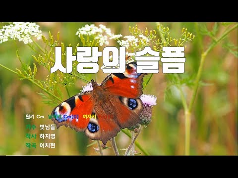 [은성반주기] 사랑의슬픔 - 벗님들 /MR/가사