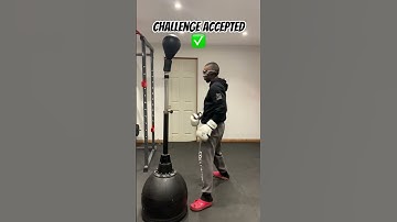 INSANE BLINDFOLDED BOXING