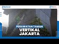 Perawatan Taman Vertikal oleh Dinas Pertamanan dan Hutan Kota DKI Jakarta di Wilayah Kebun Sirih