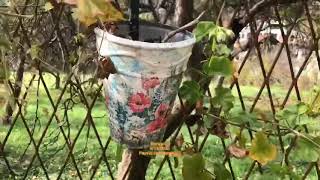 Jesen Sarajevo.عطر پاييز.Payuz Etri.پرويز محمدى.Parviz Mohammadi