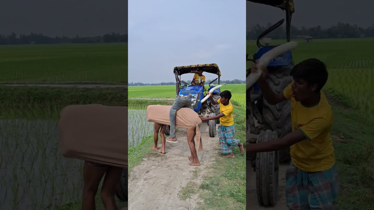 What Is On The Cow S Back 