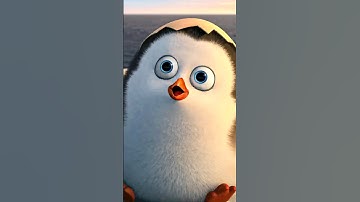 Baby Private is so cute! 😍 | The Penguins of Madagascar