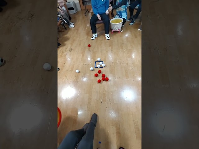 보차풍 게임NEW!