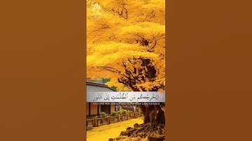 {يَا أَيُّهَا الَّذِينَ آمَنُوا اذْكُرُوا اللَّهَ ذِكْرًا كَثِيرًا}   سورة الأحزاب ❤ماهر المعيقلي