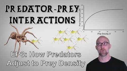 Predators and Prey, Episode 3: How Predators Adjust to Prey Density