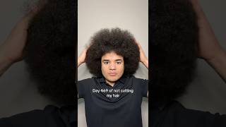 Day 469 #afro #curlyhair #curlyhairroutine #curls #naturalhair #curlyhairtips