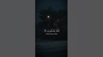 القرآن الكريم اجر لي ولكم القارئ اسلام صبحي