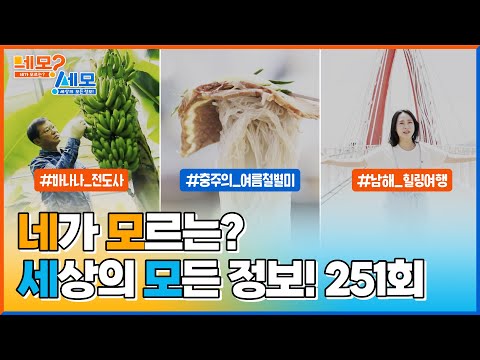 [네모세모] 251회 Full ver. 바나나 전도사 l 충주의 여름철 별미 l 남해 힐링 여행