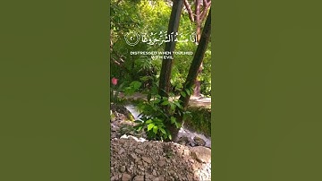 أجمل تلاوة رائعة للشيخ عبد الرحمن العوسى