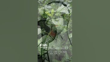 ربنا هب لنا من ازواجنا وذرياتنا قرة اعين أجمل الآيات من سورة الفرقان للقارئ عبد الزيز سحيم #اكسبلور