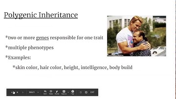 Non Mendelian Genetics Instruction video