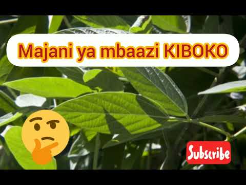 Video: Jinsi Ya Kumfukuza Mwanamke Kwa Dakika 2? Je! Wanawake Wanataka Nini?