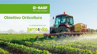 Il Progetto Obiettivo Orticoltura Il Progetto Obiettivo Orticoltura