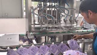 Automatic liquid spout pouch filling and capping machine (test video) screenshot 4
