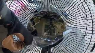 Unboxing Mainstays Fan