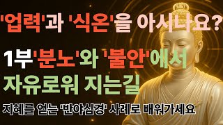 업이 만든 &#39;분노&#39;와 &#39;불안&#39; 잠재우는 방법 ㅣ반야심경6-1 ㅣ부처님 말씀 ㅣ불교명언