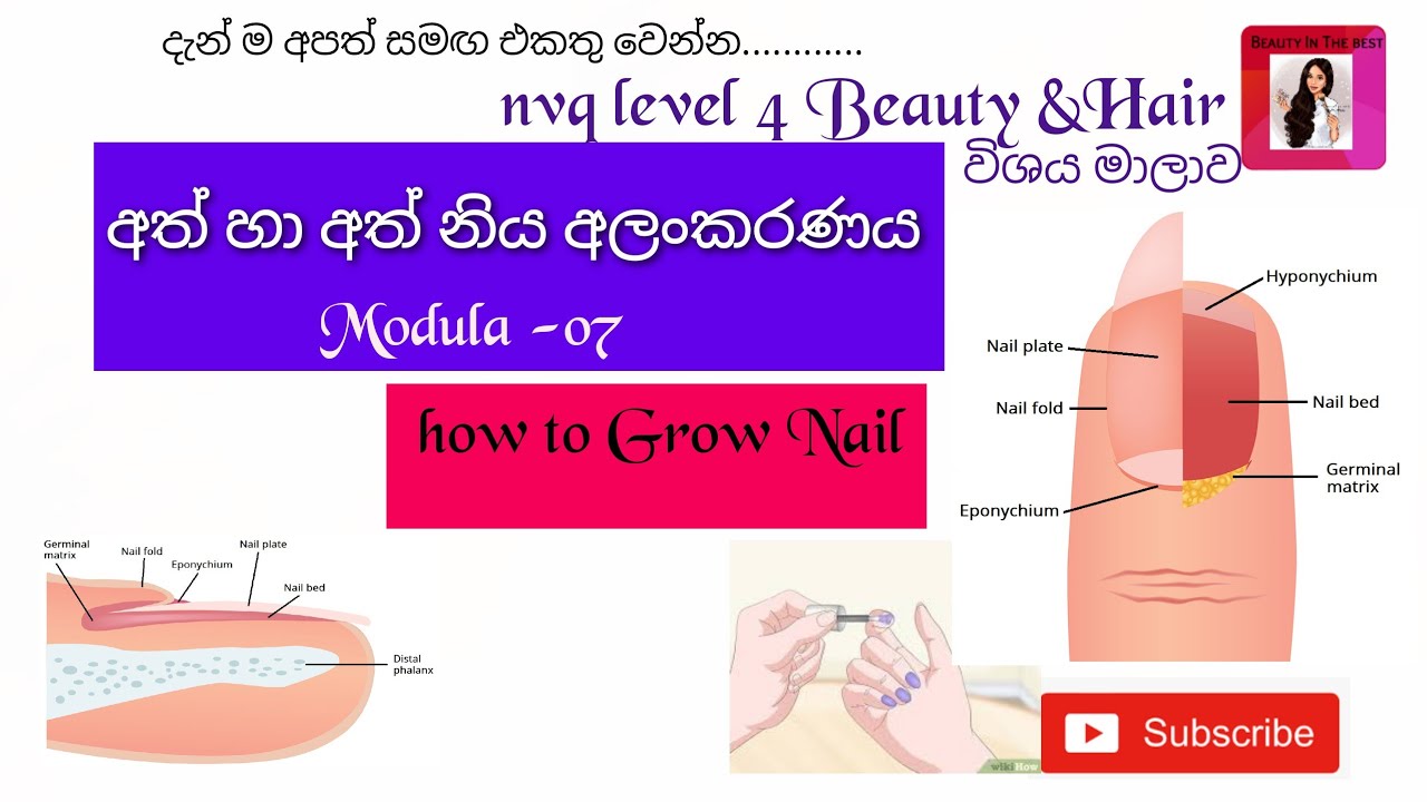 NVQ National Vocational Qulification nvq Level 4 Beauty Hair Nail 