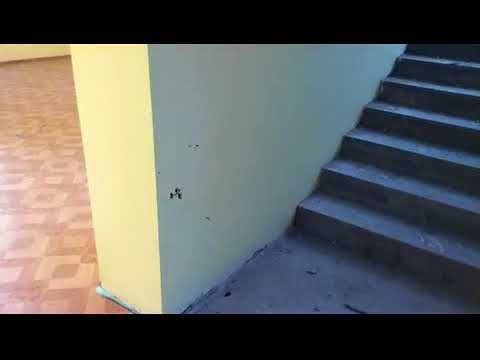 სოფელ არლის საჯარო სკოლა 2