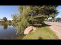 3D VR180 - The Pond, The Wild Ducks & The Bikini (4K)