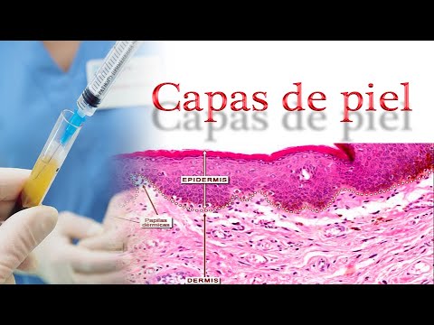 Video: ¿Es la epidermis la capa más profunda?